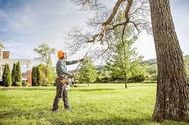 Best Seasonal Cleanup (Spring/Fall)  in Holly Springs, GA